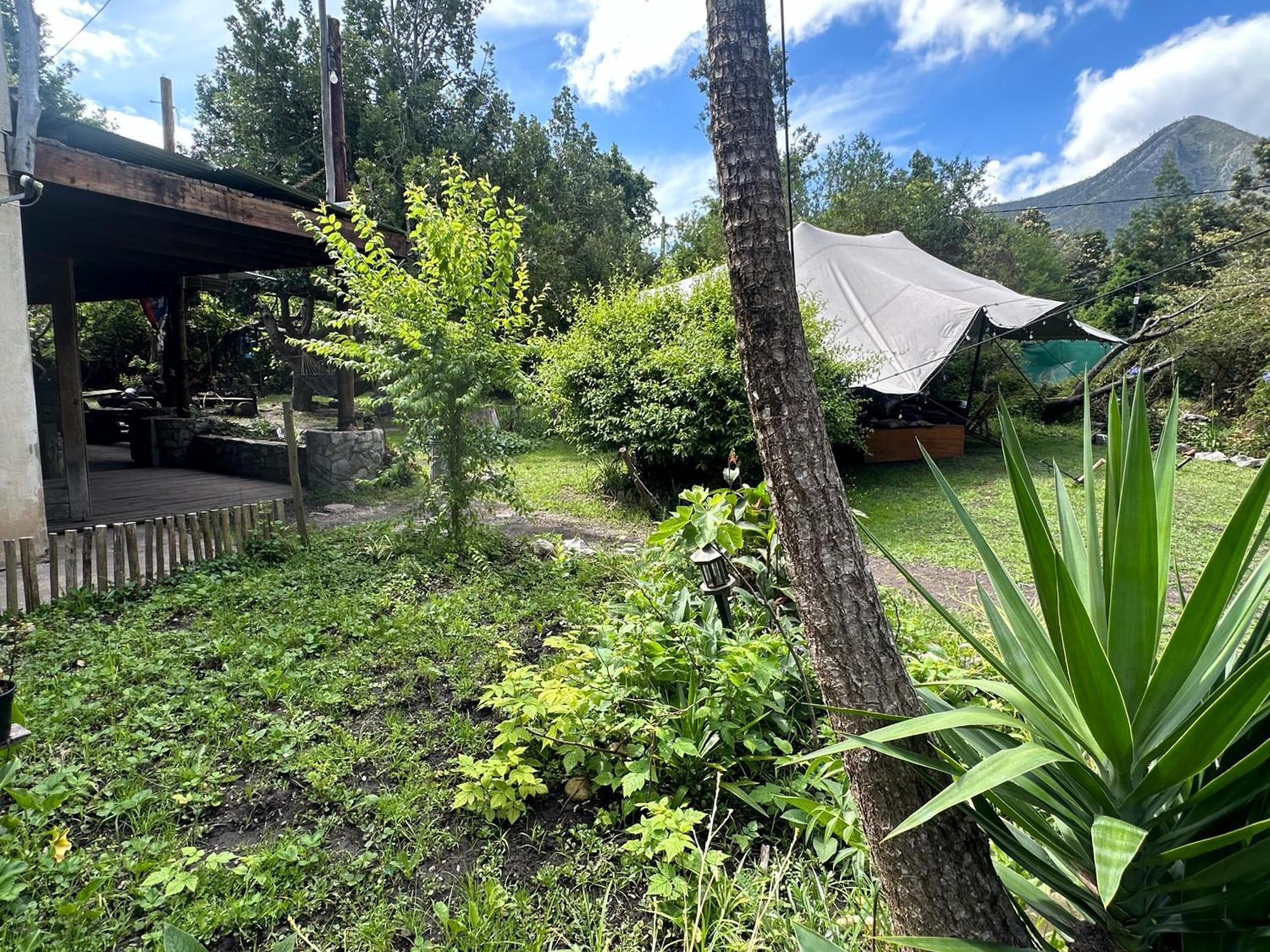 Stormsriver Backpackers Dijembe Stormsrivier Exteriér fotografie