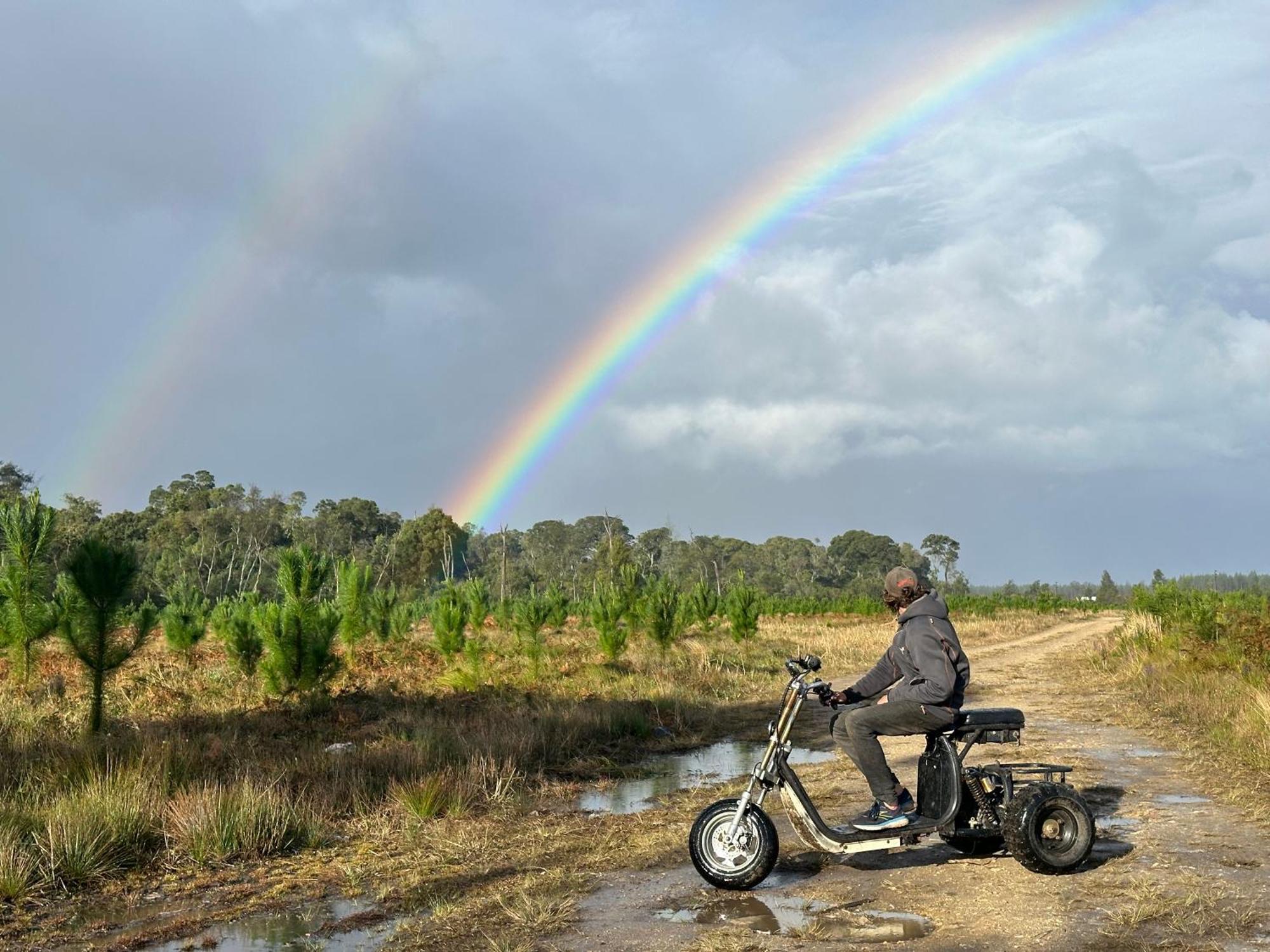 Stormsriver Backpackers Dijembe Stormsrivier Exteriér fotografie